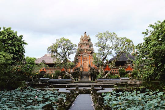 Surface of Ubud Private Full-Day Tour