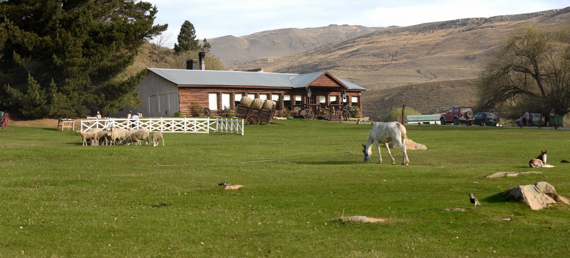 Estancia 25 de Mayo Tour mit Abendessen und Transfer