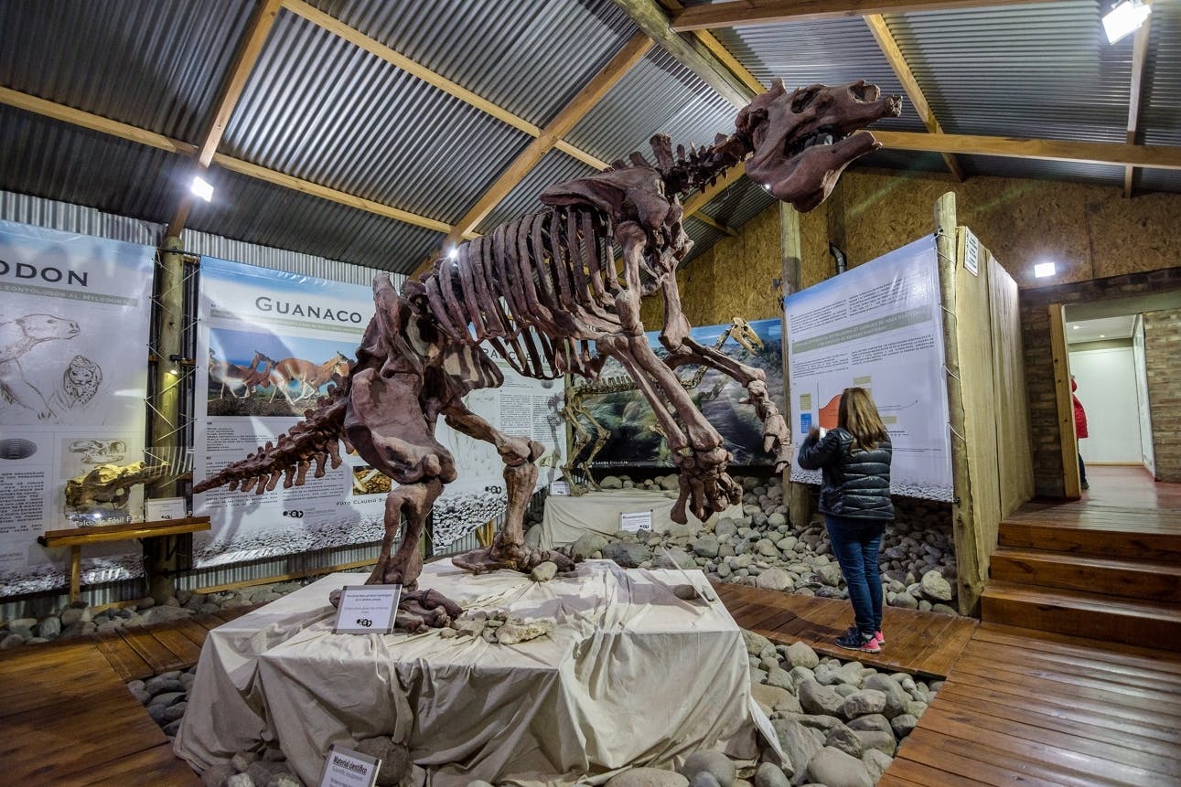 Tour panoramico di El Calafate con Punta Walichu