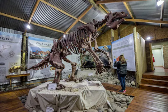 Excursão Panorâmica El Calafate com Punta Walichu