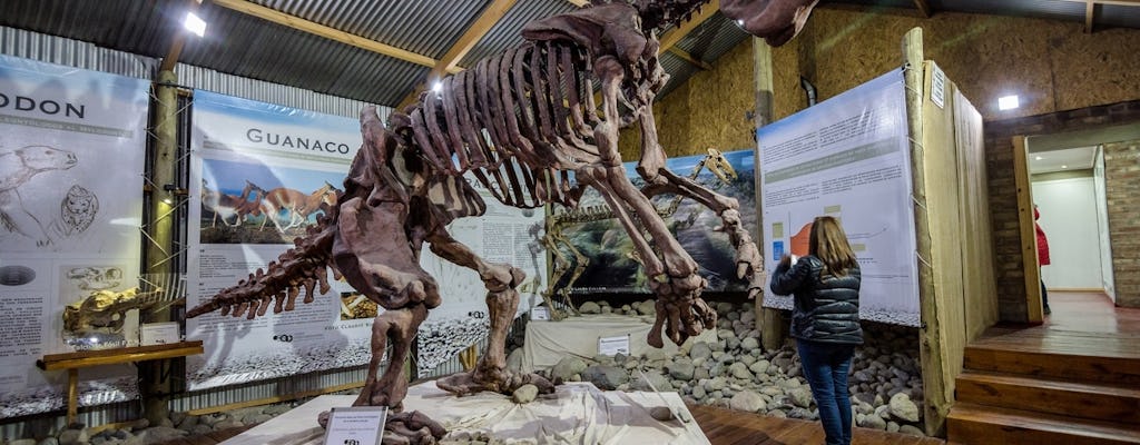 El Calafate Panoramic Tour with Punta Walichu