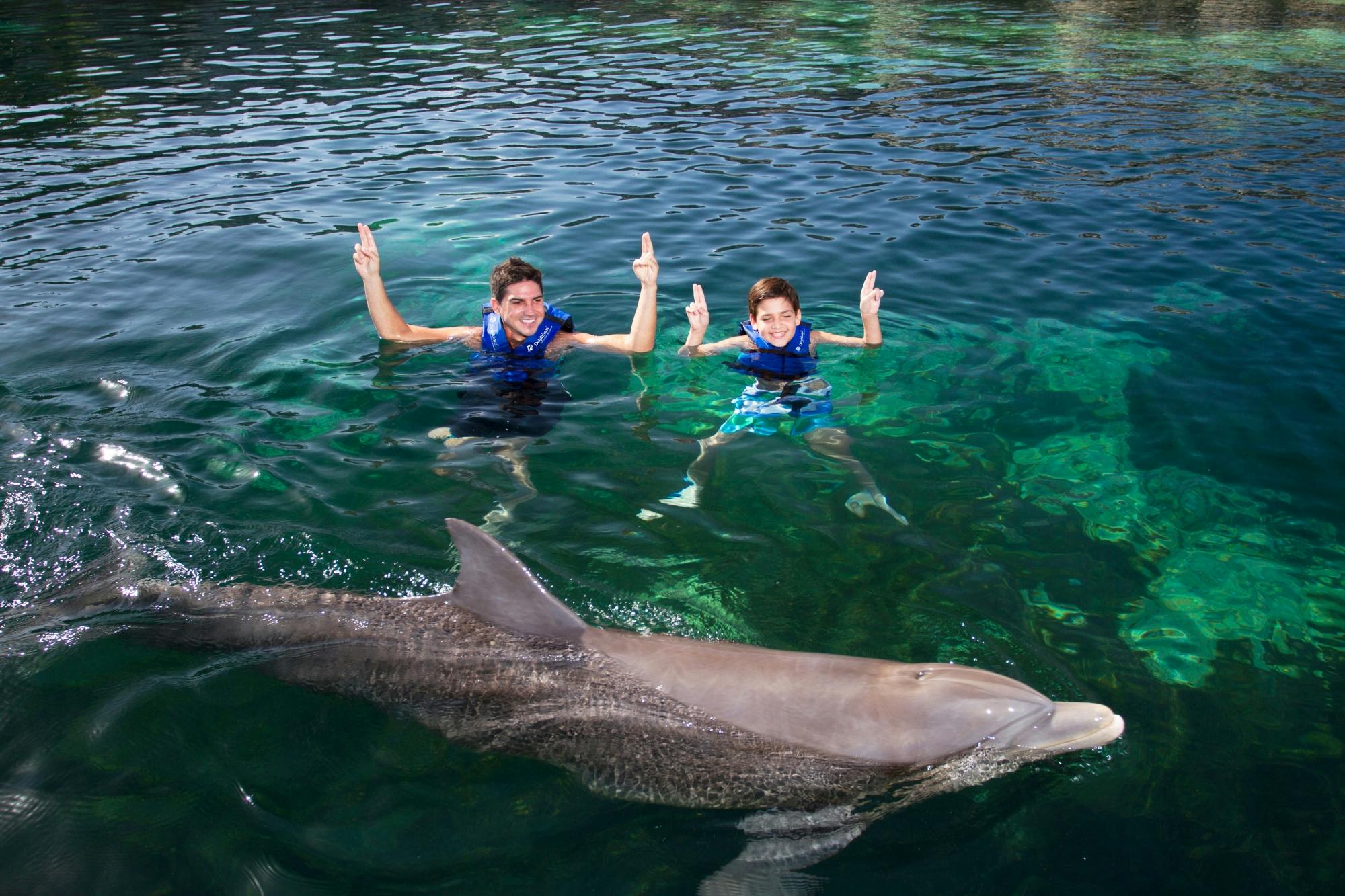 Delfinsvømning og snorkling ved Yal kú-lagunen af Delphinus