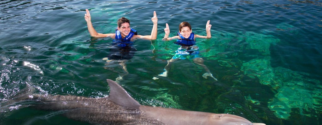 Riviera Maya simma med delfiner och snorkla vid Yal kú Lagoon med Delphinus