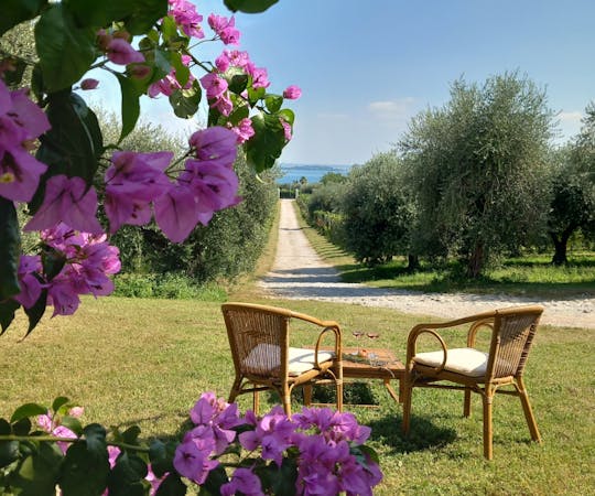 Aperitif mit Seeblick zwischen den Weinbergen des Gardasees