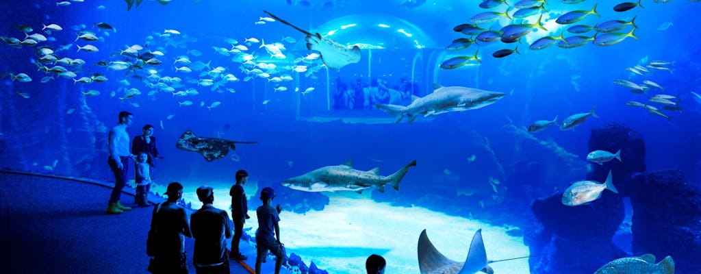 Aquarium Poema del Mar Besuch und Guayadeque Schlucht Tour