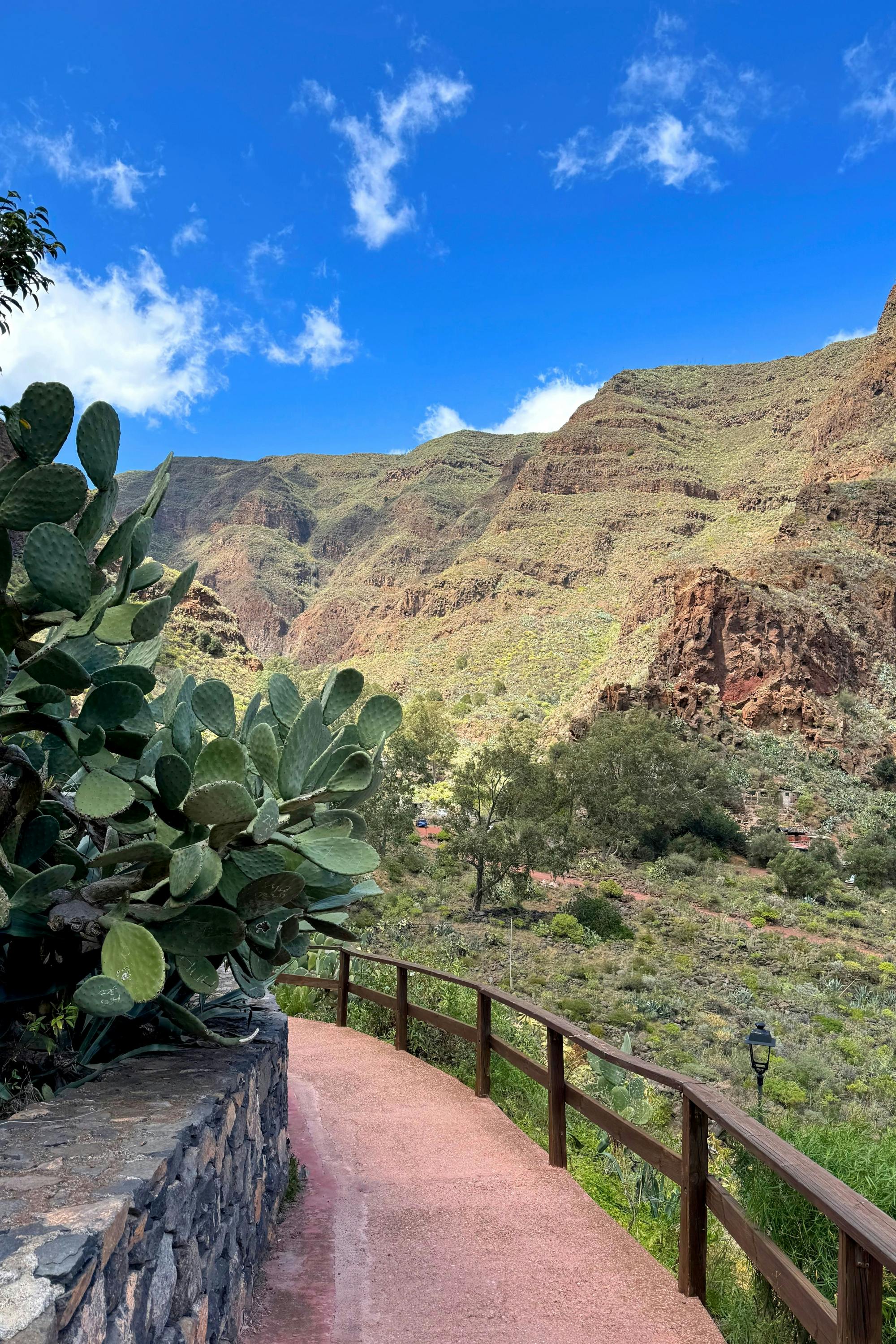 Poema del Mar Aquarium Visit and Guayadeque Canyon Tour