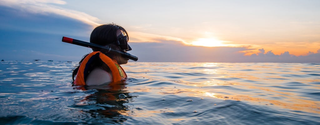 Snorkeling at Sunset with Aperitif