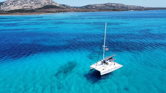 Excursion d'une journée en catamaran sur l'île de l'Asinara au départ de Stintino avec déjeuner