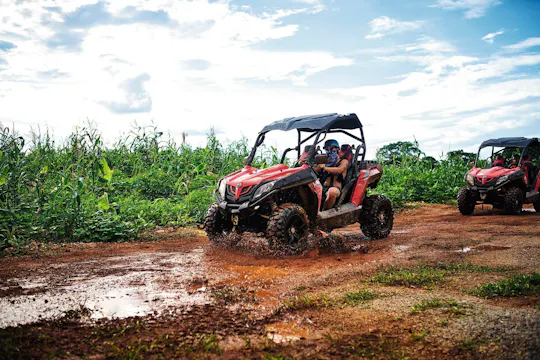 Buggies de la selva