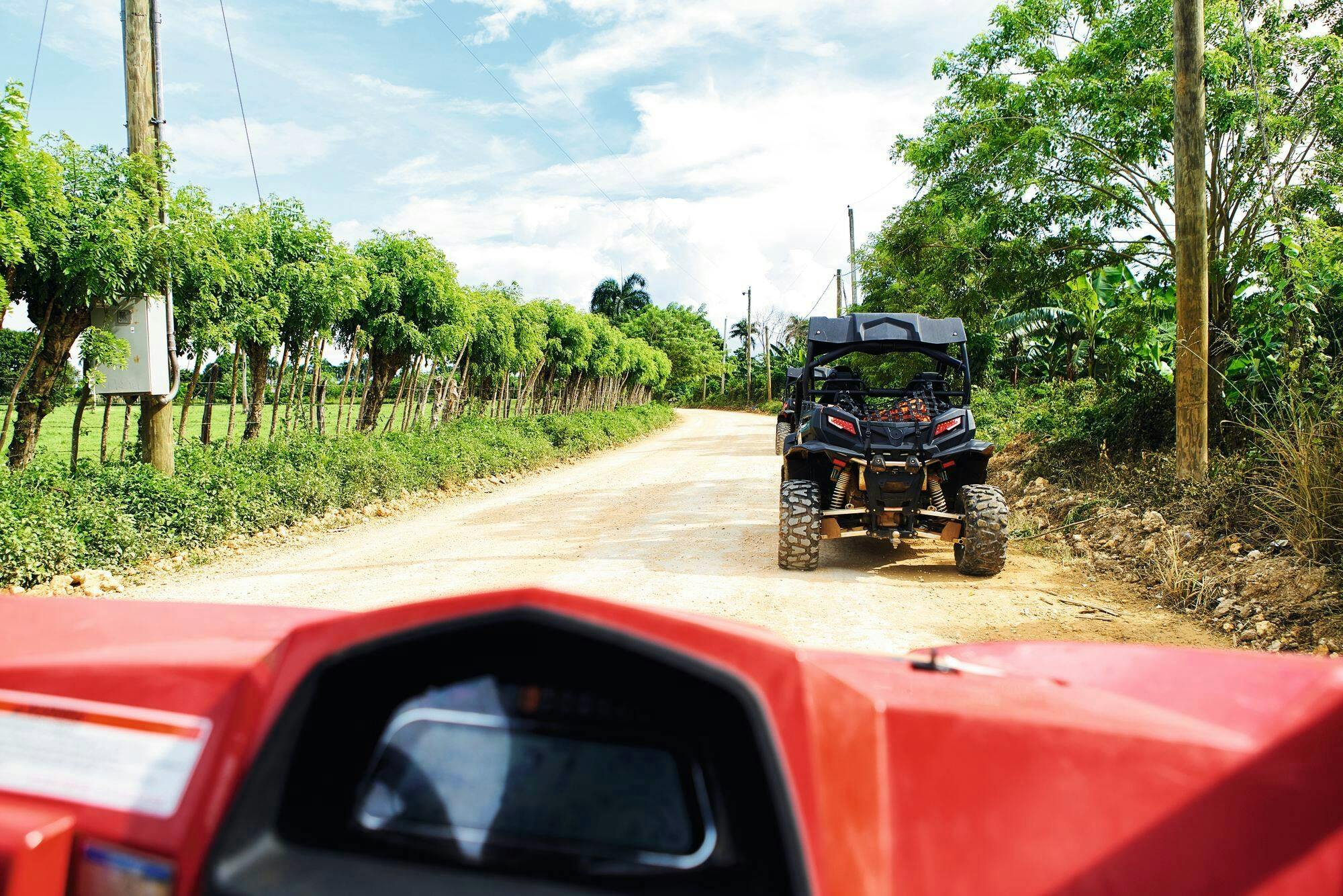 Jungle Buggies