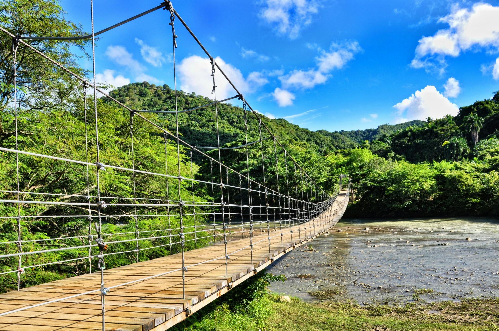 Monkey Land & Damajagua Waterfalls