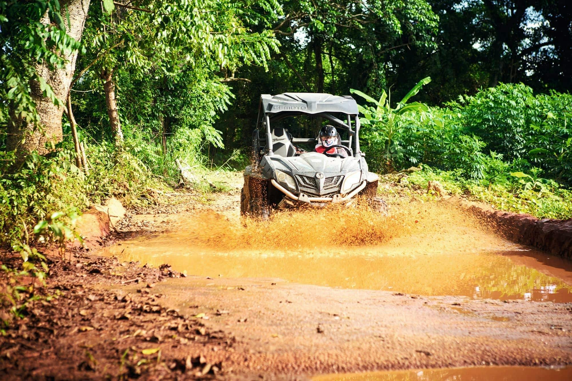 Jungle Buggies