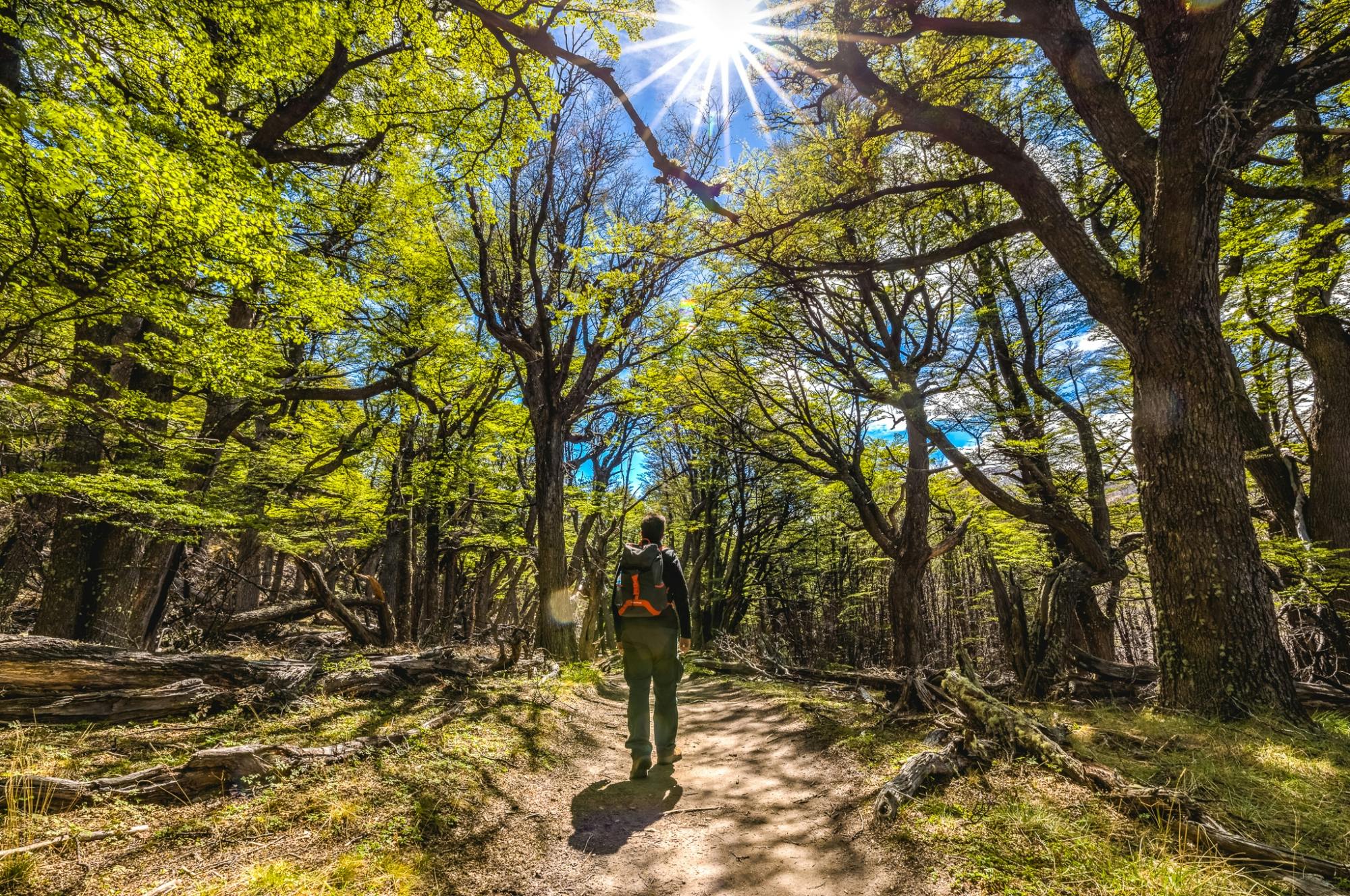 Trekking po Lagunie Capri z El Calafate