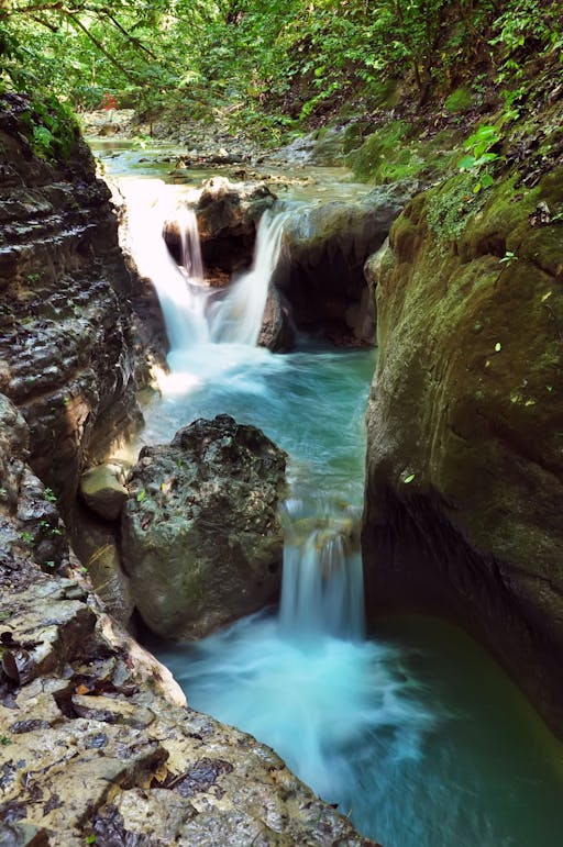 Monkey Land & Damajagua Waterfalls