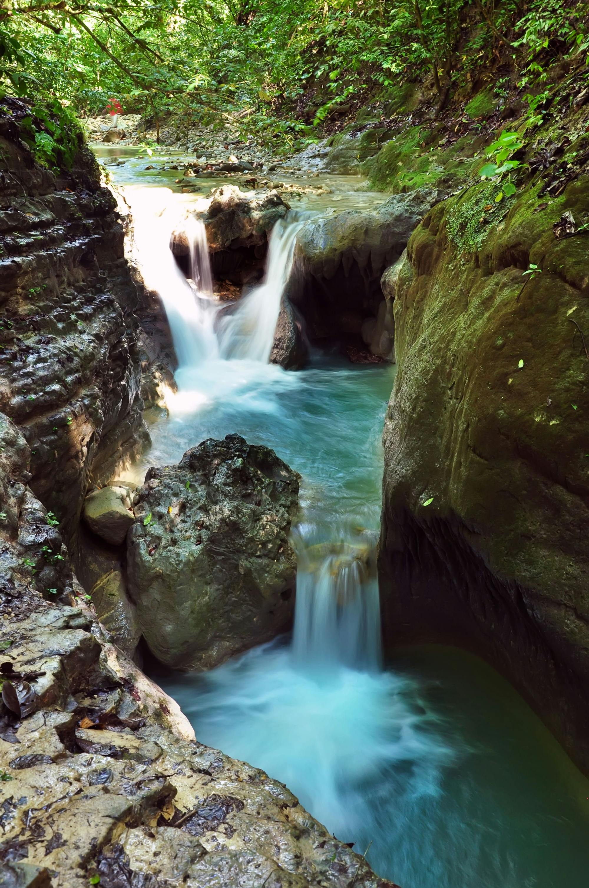 Monkey Land & Damajagua Waterfalls