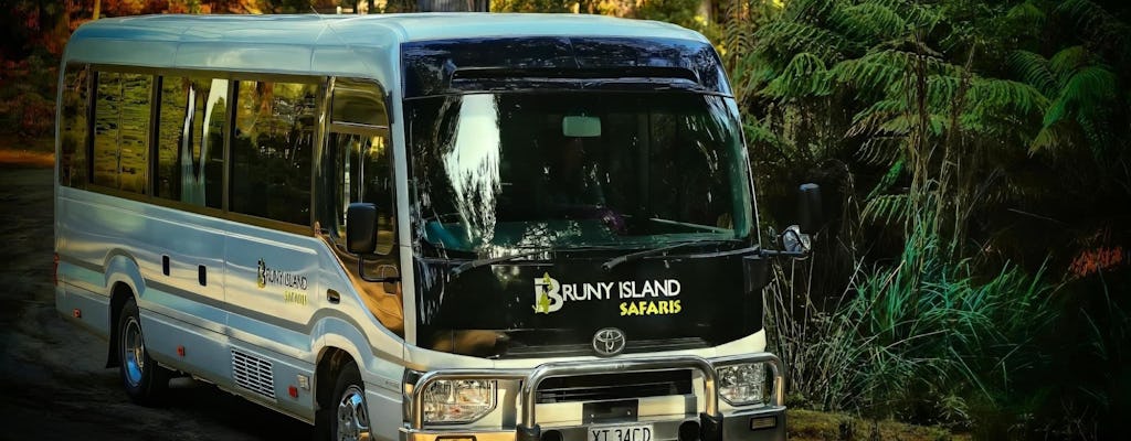 Safaris sur l'île Bruny, dégustation de plats locaux et visite du phare