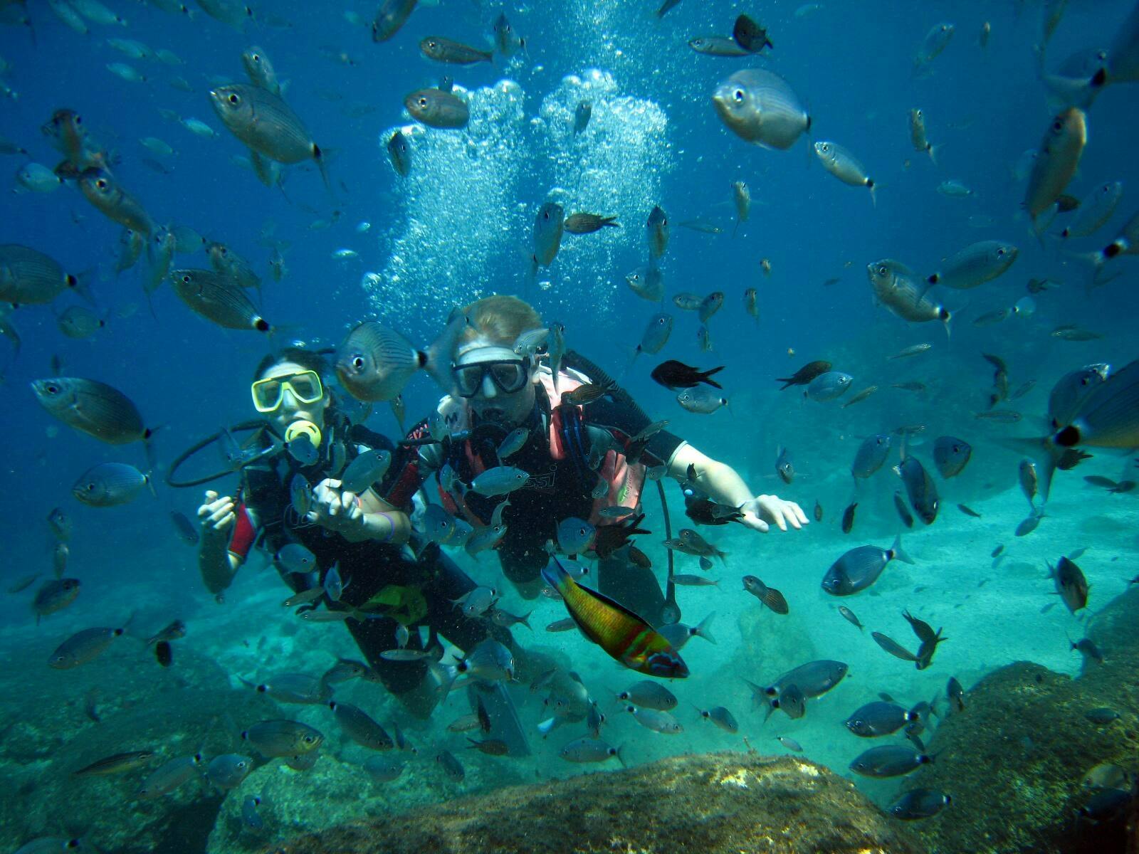 Alanya Scuba Diving for Beginners