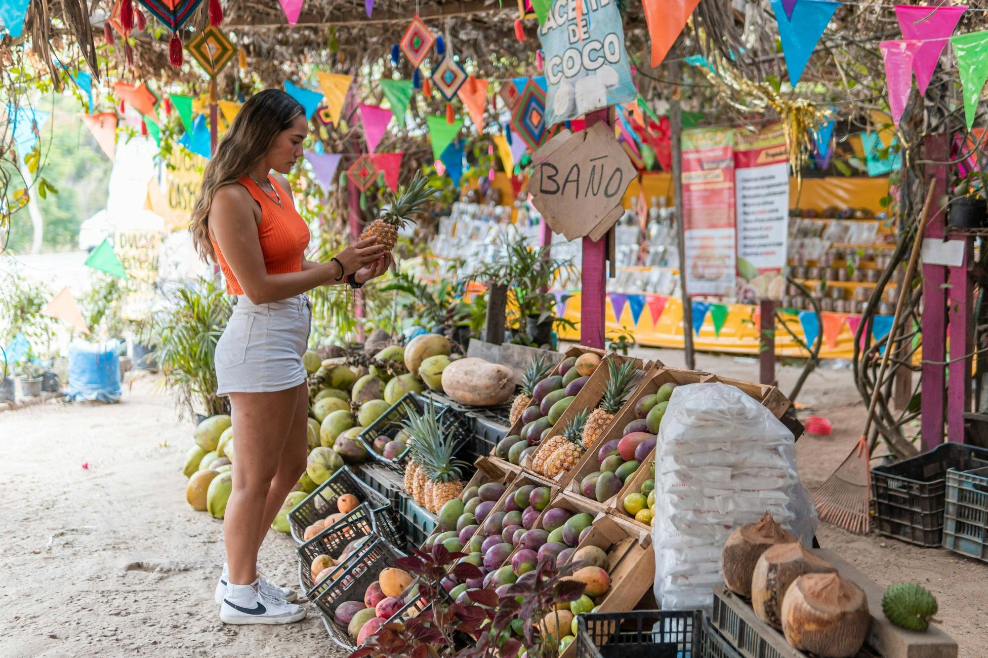 Sayulita and San Pancho Tour