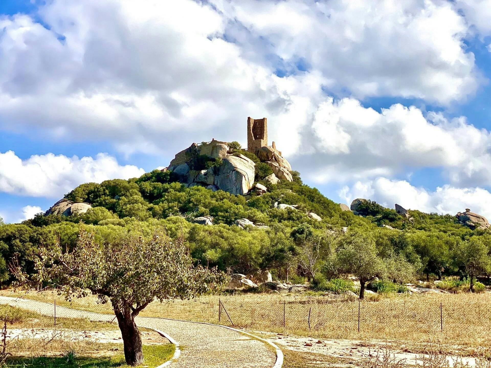 Tour Arqueológico de Olbia en Tuk-Tuk