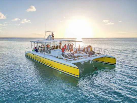 Crucero al atardecer en Barbados con música Steel Pan en vivo