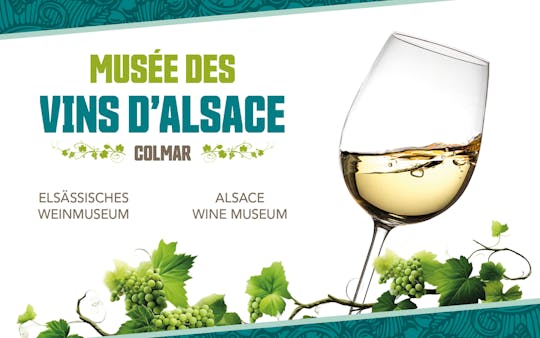 Bilety do Muzeum Wina Alzacji w Colmar
