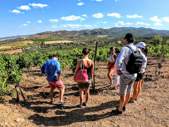Small Group Tour with Brunch and Wine Tasting from Cagliari