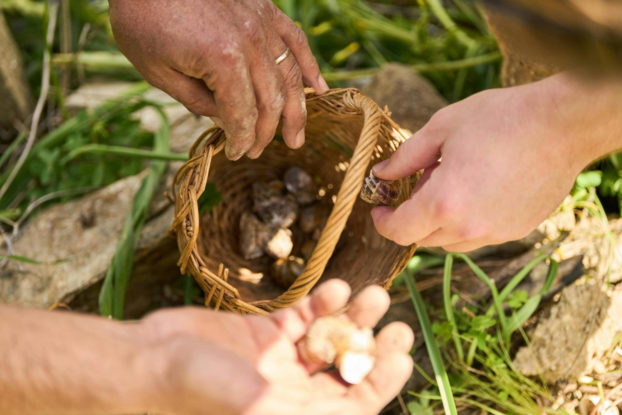 Nat Geo Day Tour: Discover Cretan Farm Life