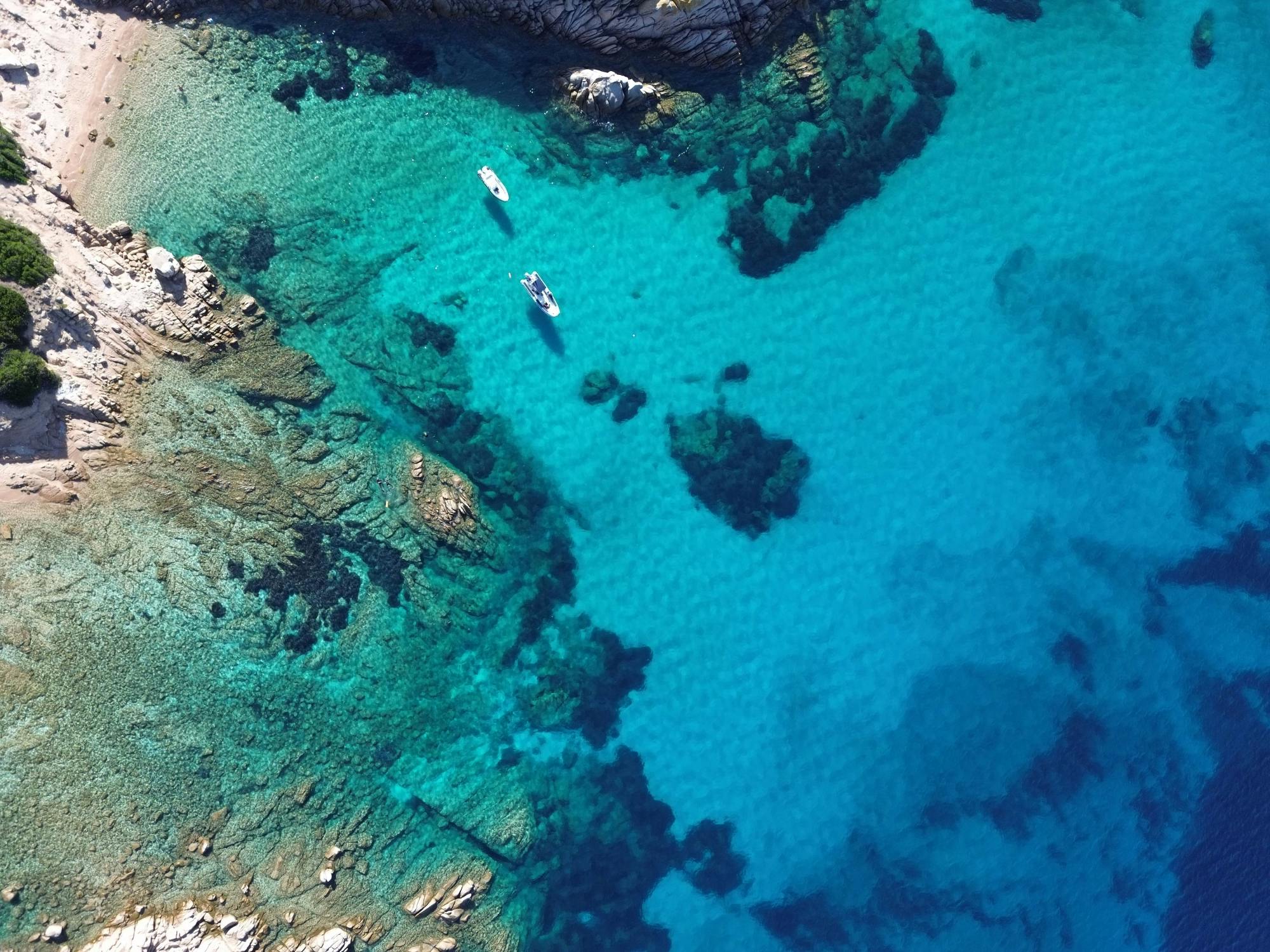 Snorkeling Tavolara e Molara Mattina