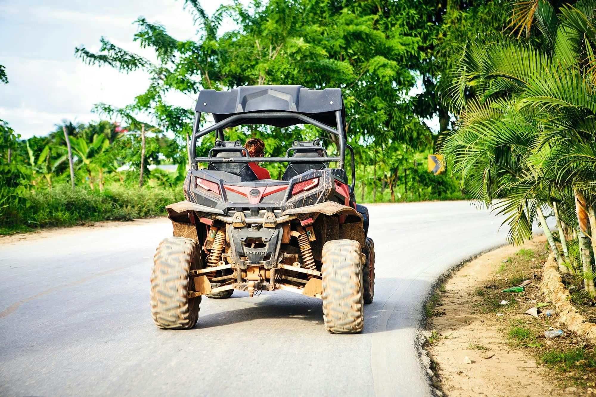 Damajagua Waterfalls & Jungle Buggies