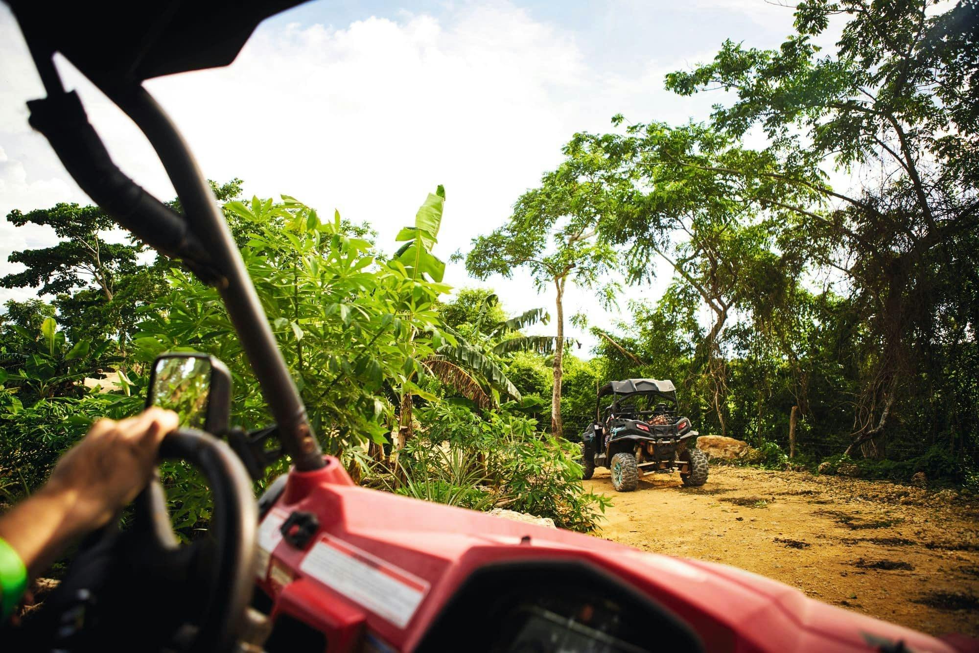 Tierra de monos y buggies en la jungla