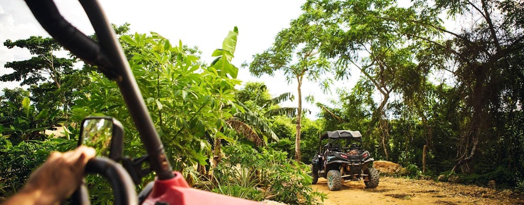Tierra de monos y buggies en la jungla
