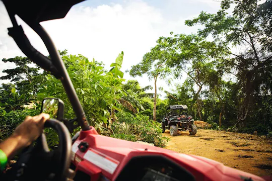 Terra dos Macacos e Buggies da Selva