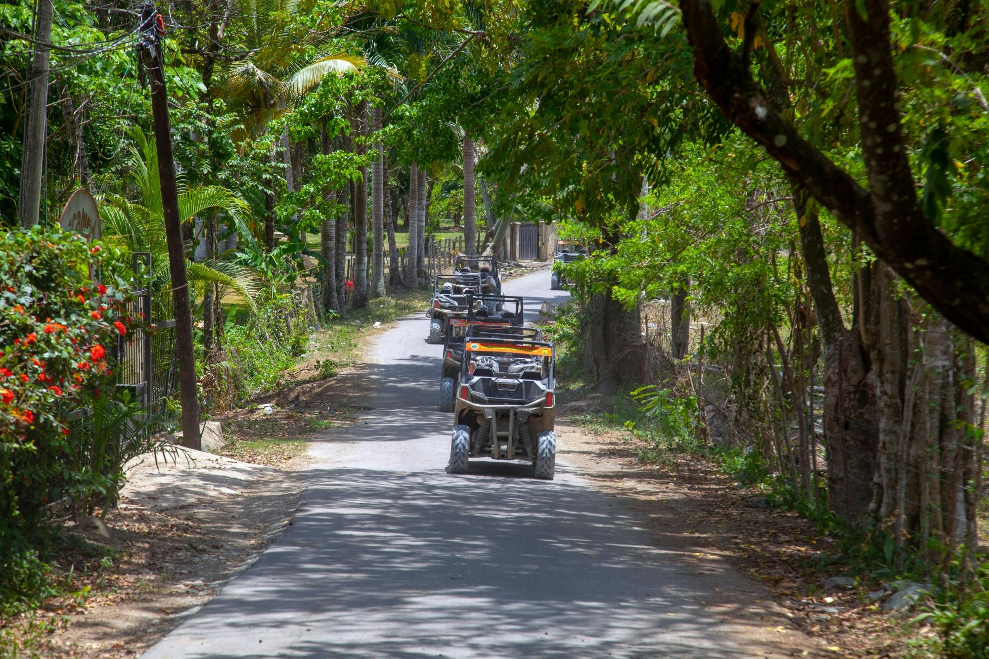 Monkey Land & Jungle Buggies