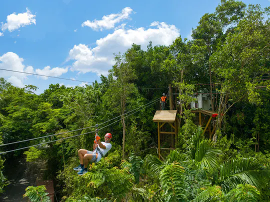 Ingresso para o Harrison's Cave Eco-Adventure Park e tirolesa de macacos