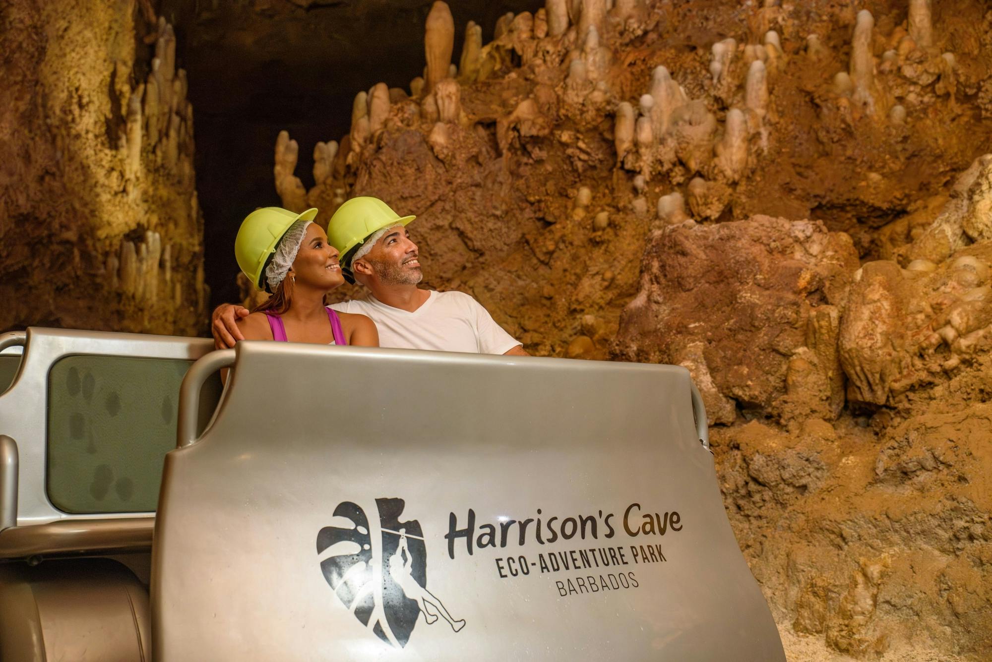 Harrison's Cave Eco-Adventure Park Ticket & Gully Challenge Course