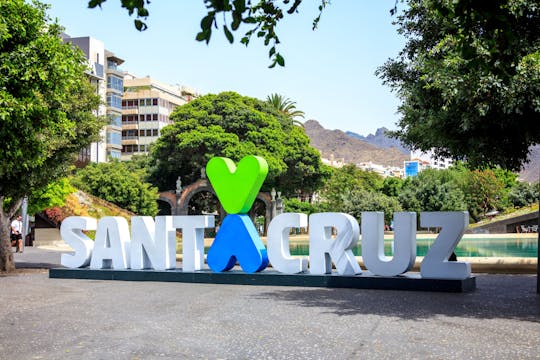 Wandeltocht in Santa Cruz de Tenerife met Marktbezoek
