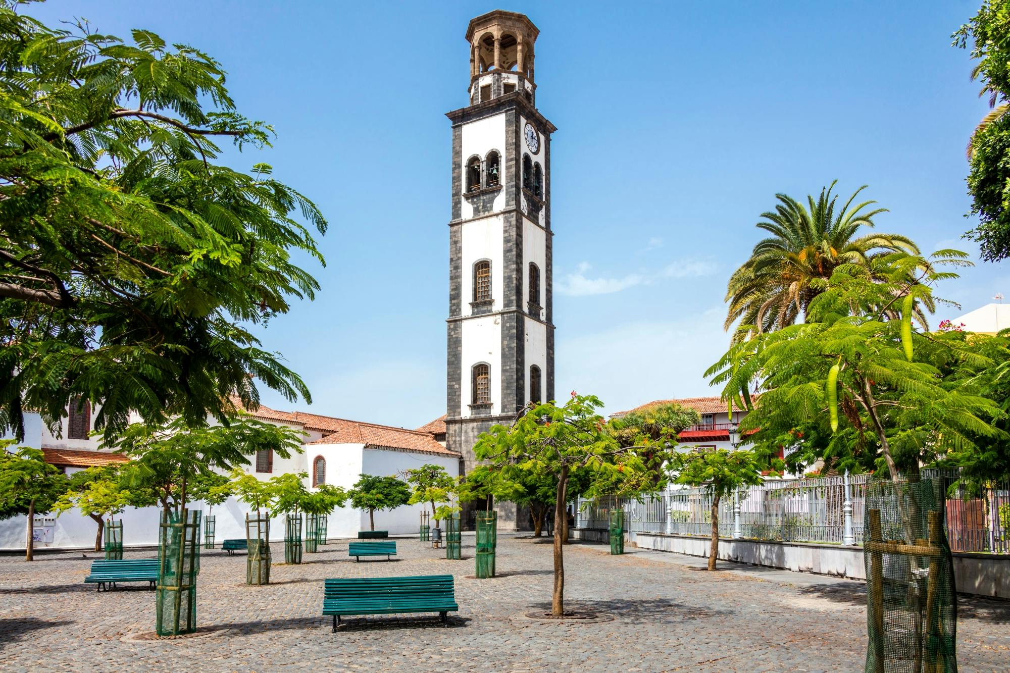 Walking Tour of Santa Cruz de Tenerife with Market Visit