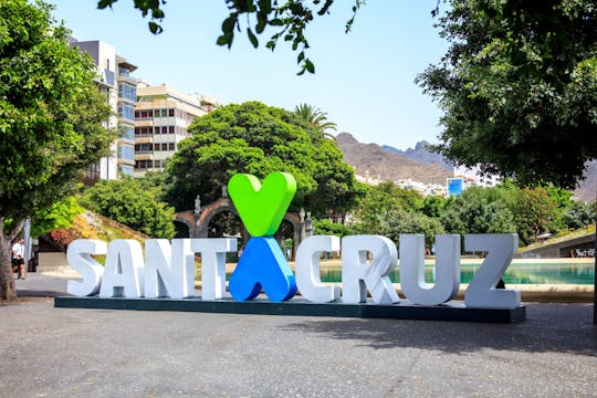 Recorrido a pie por Santa Cruz de Tenerife con visita al mercado