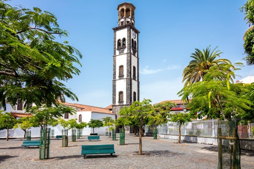 Walking Tour of Santa Cruz de Tenerife with Market Visit