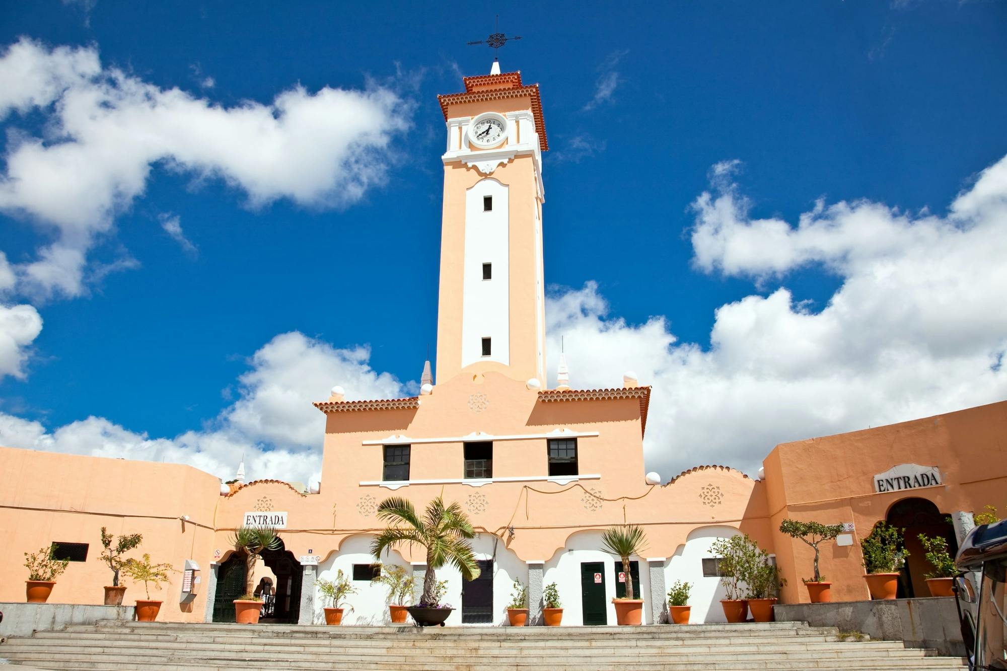 Walking Tour of Santa Cruz de Tenerife with Market Visit