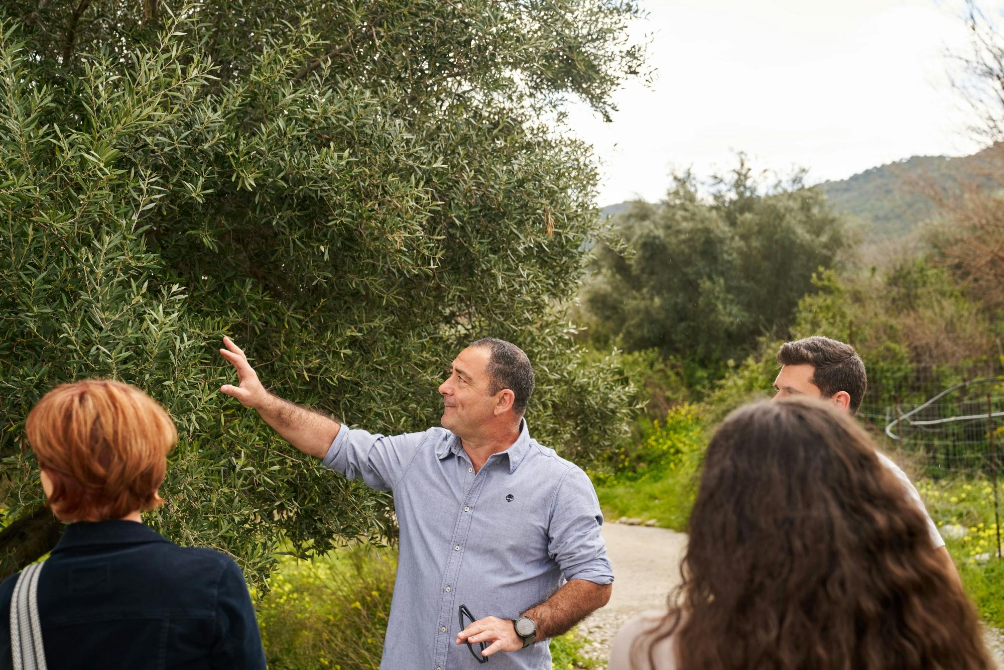 Nat Geo Day Tour: The Millenary History of Olive Oil