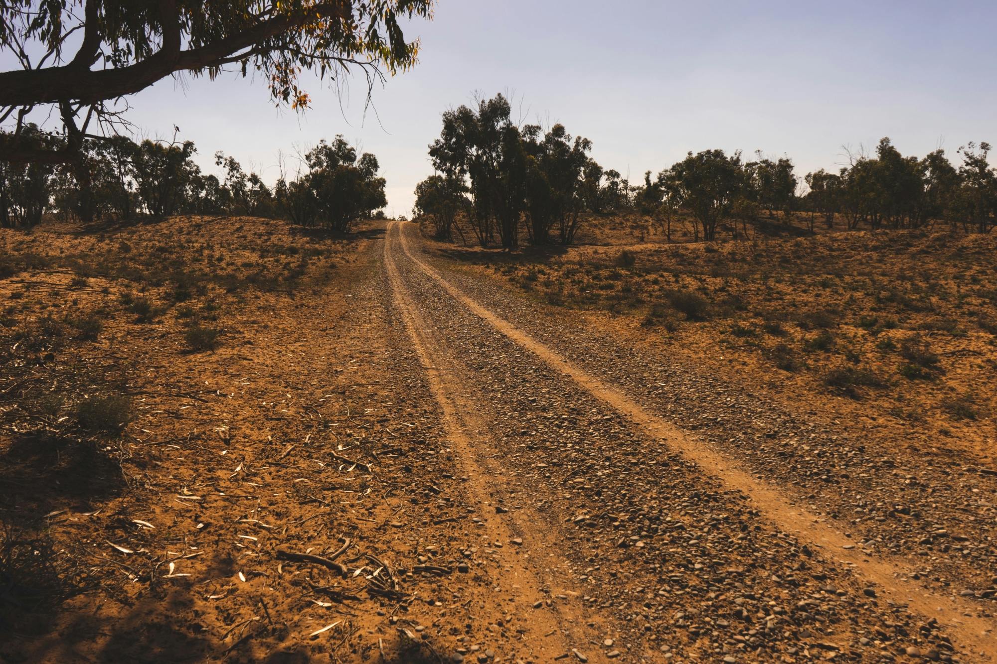 Tour in 4x4 al Parco Nazionale di Souss-Massa e Tiznit