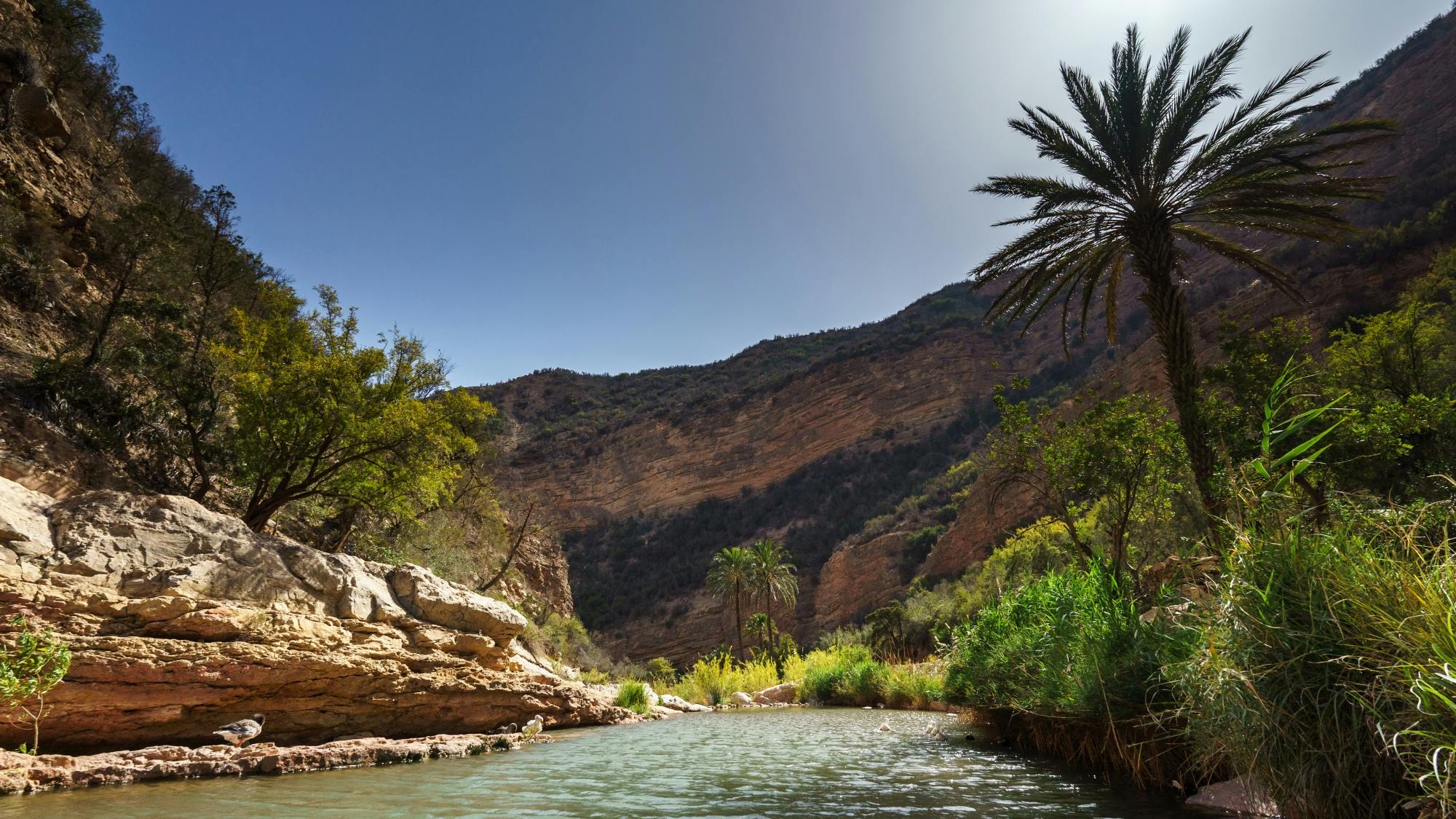 4x4 Atlas Mountains Tour from Agadir with Lunch