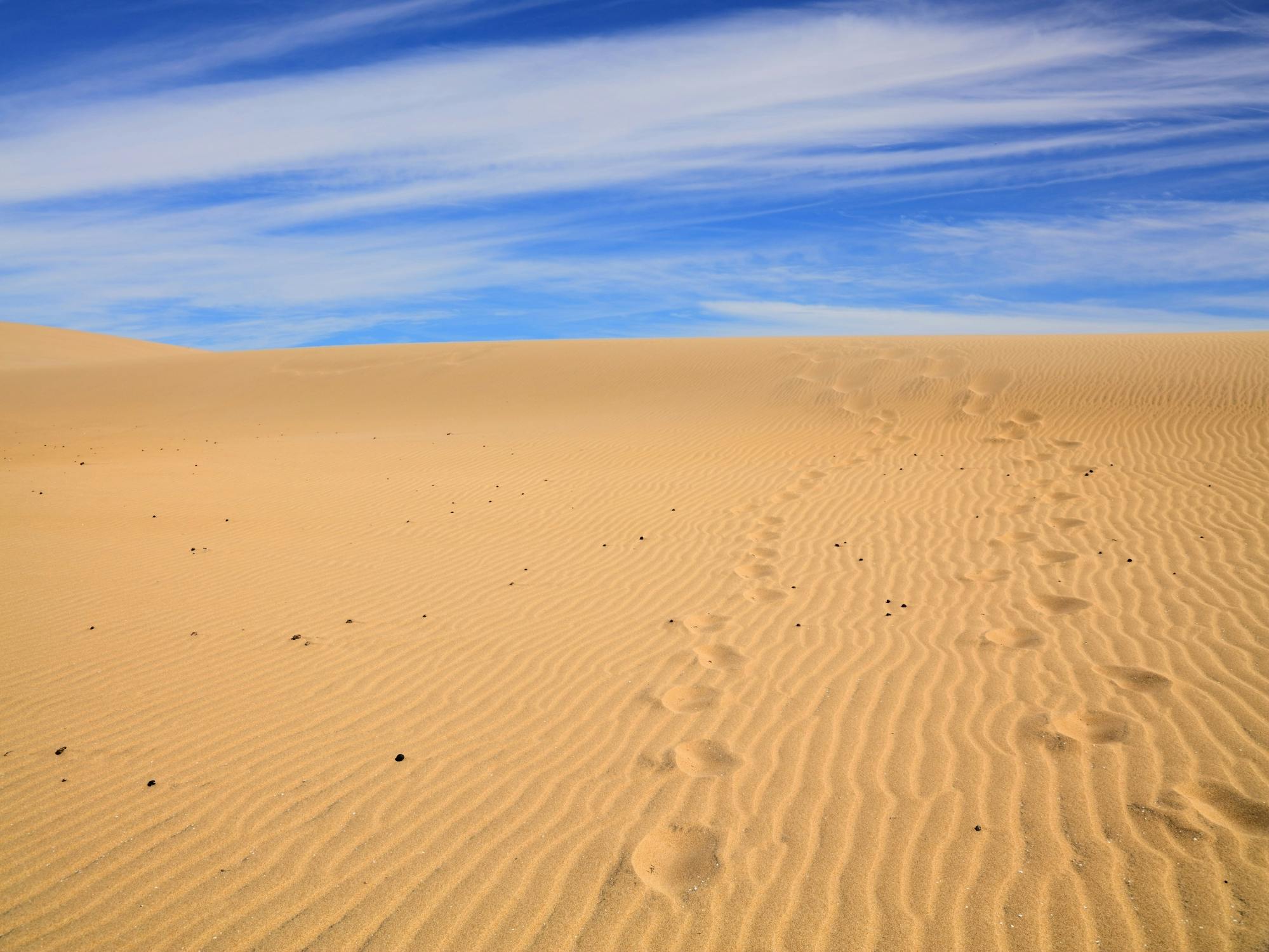 Excursión de un día a las dunas de arena del Sahara y al Valle del Paraíso desde Agadir