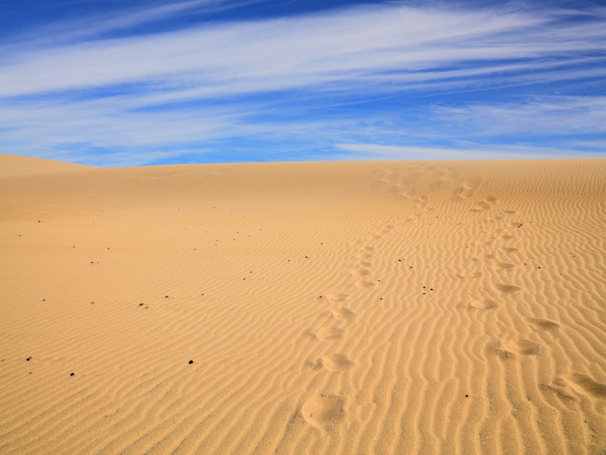 Dagtocht naar Sahara-zandduinen en Paradise Valley vanuit Agadir