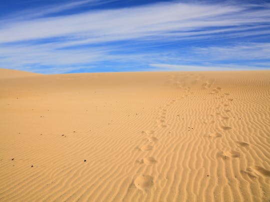 Gita di un giorno alle dune di sabbia del Sahara e alla Paradise Valley da Agadir