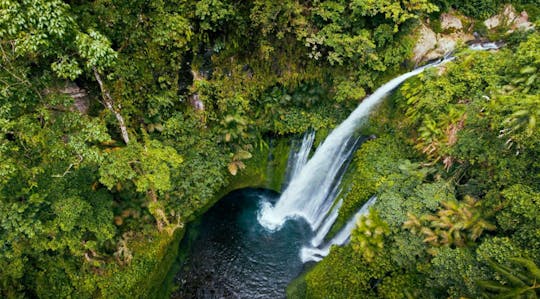 Sendang Gile and Tiu Kelep Waterfall Private Tour