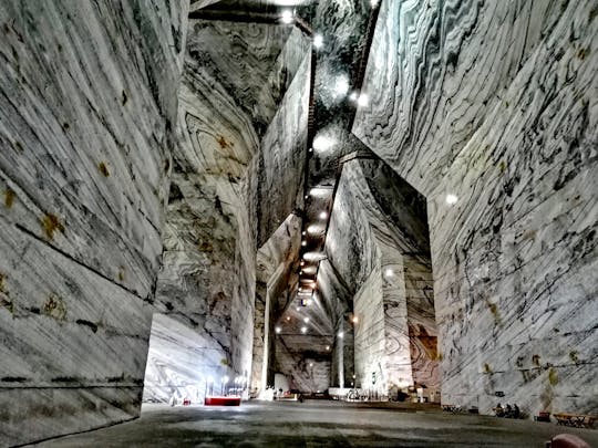 Całodniowe zwiedzanie zamku Peles i prywatnej wycieczki do kopalni soli Unirea