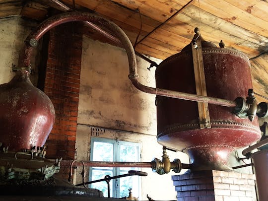Tour privato di un giorno di vigneti e distillerie artigianali da Cognac
