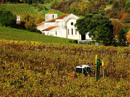 Cognac vineyards and distilleries half-day private tour from Charente